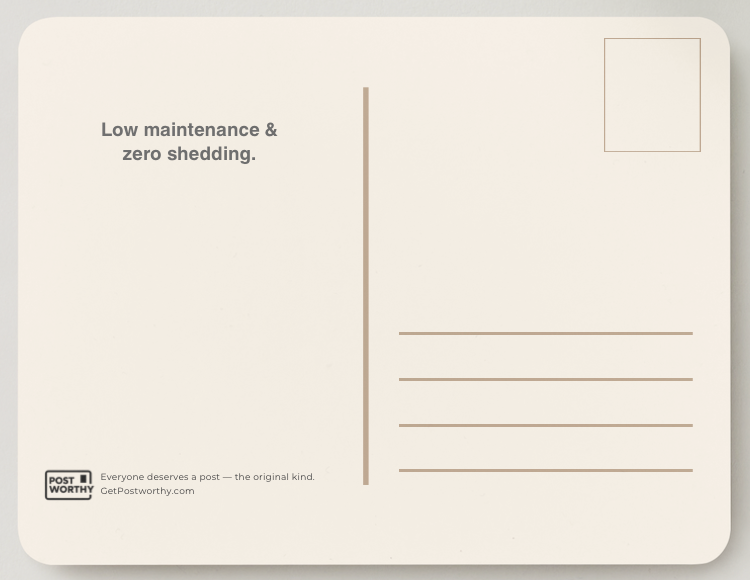 Emotional Support Rectangle