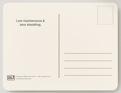 Emotional Support Rectangle